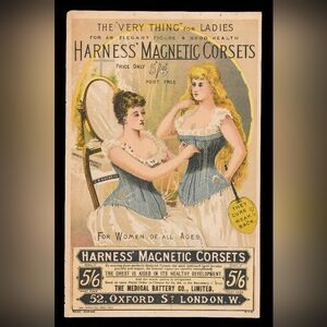 Harness Magnetic Corsets - Art Print